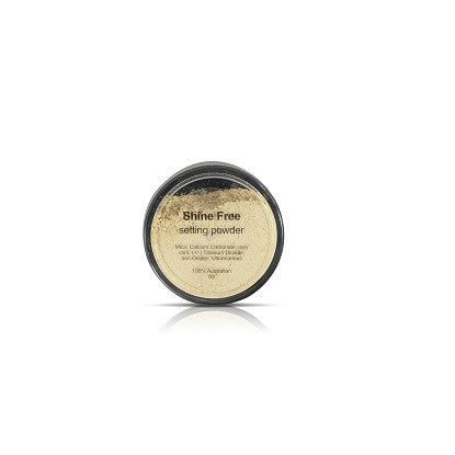 Synergie Shine Free Setting Powder 8g